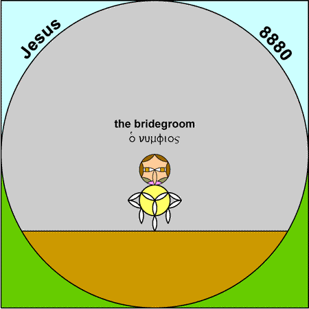 Bridegroom - numphios