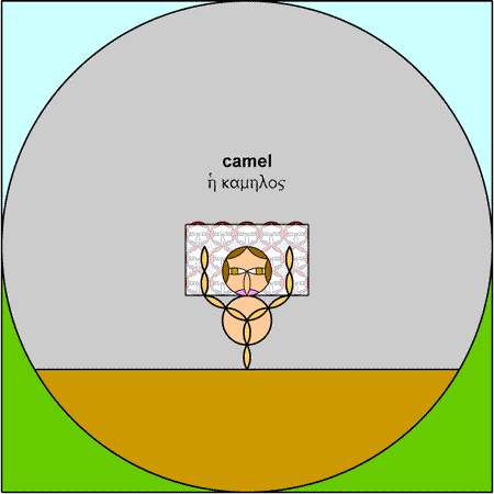 Camel - kamelos