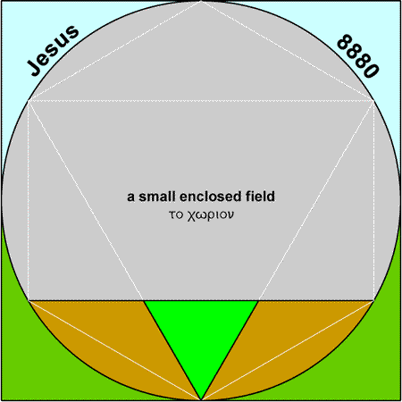 Field - chorion