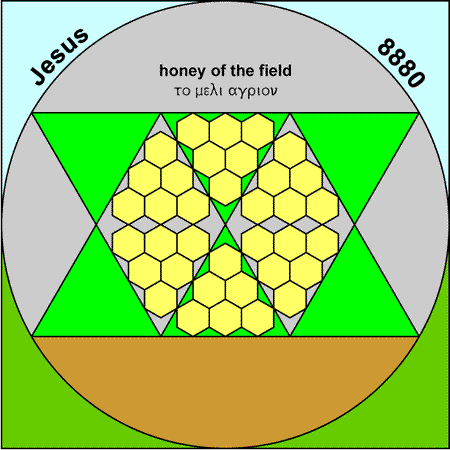 Field Honey - meli agrios