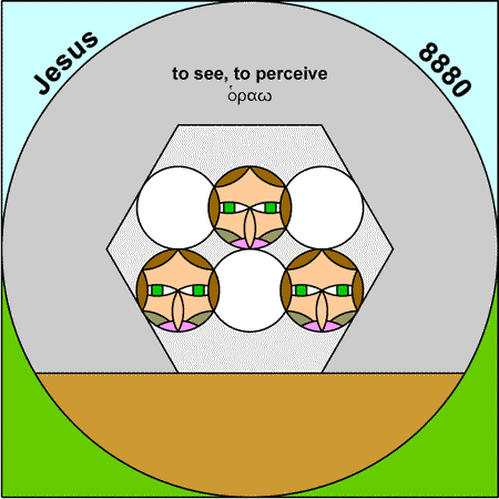Perceive - Eido