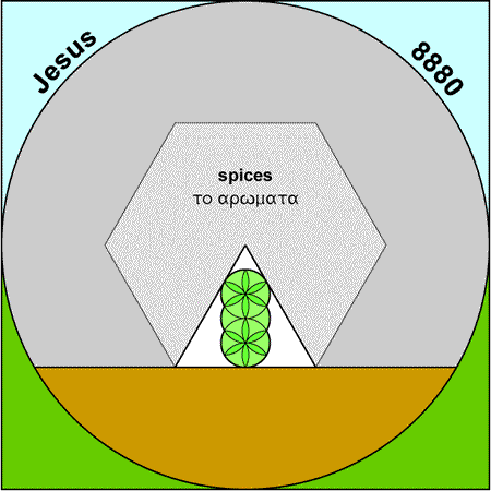 Spices - aromata