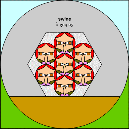 Swine - choiros